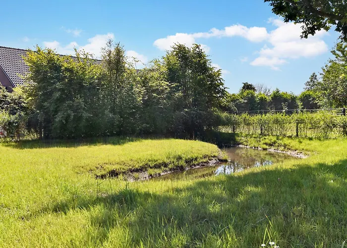 Ferienwohnung Gartenlounge Schönberg - Kalifornien