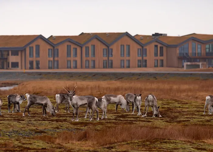 Hotel Joekulsarlon - Glacier Lagoon Hotel