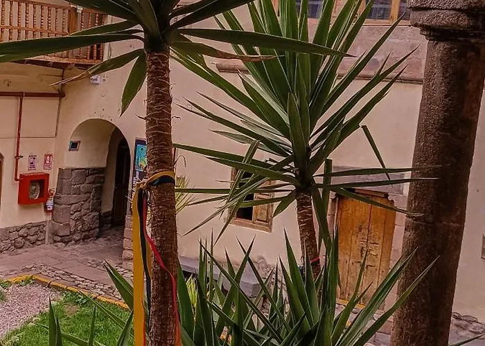 Loki Cusco