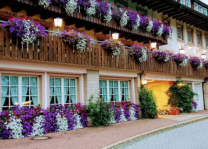 ZUR TRAUBE Schwarzwaldhotel&Restaurant am Titisee