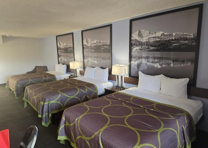 Super 8 By Wyndham Wheat Ridge/Denver West