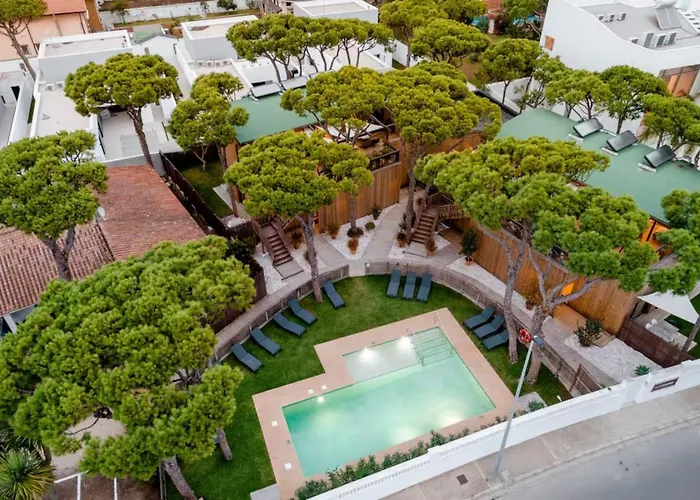 Apartamentos Biopasivos Living Pura Madera