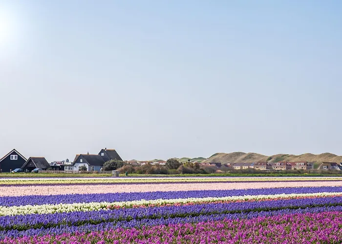 Vakantiehuis Zonnig Zuid - Julianadorp Aan Zee