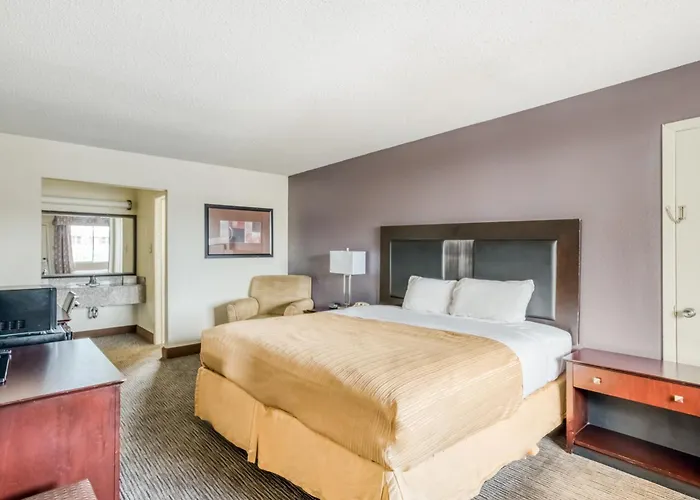 Oyo Hotel Alexandria La- Hwy 165