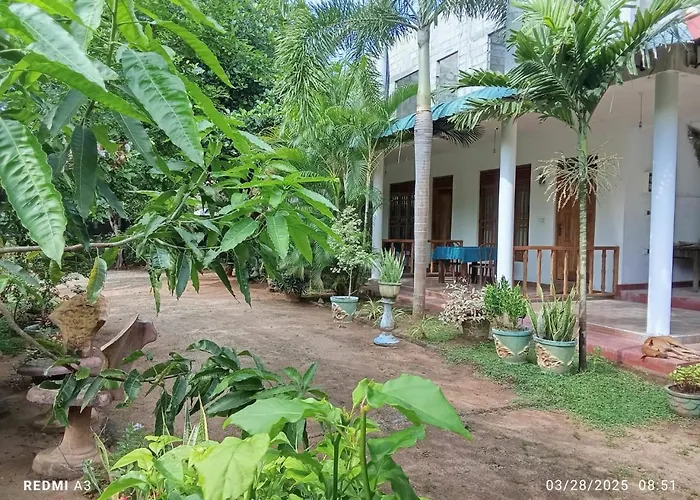 Jungle View Guest