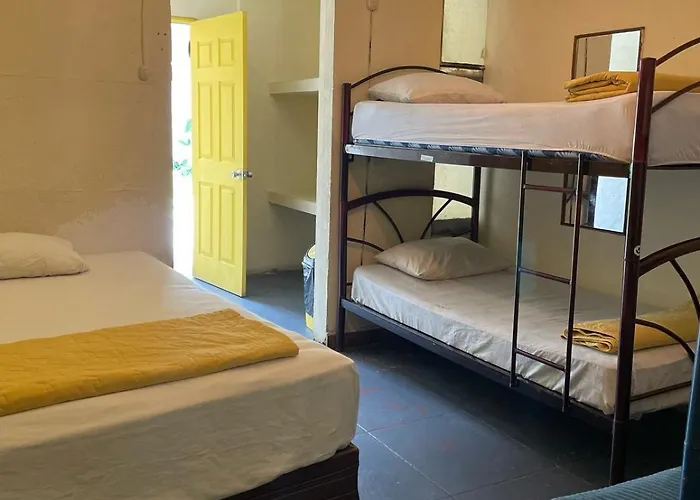 Volko Party Hostel