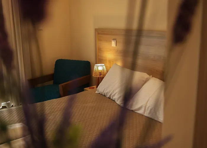 Vina Oliva Hotel
