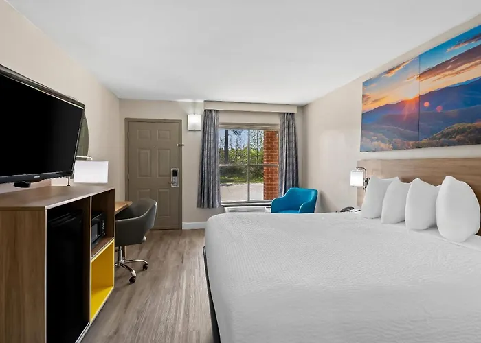Days Inn By Wyndham Petersburg/South Fort Lee