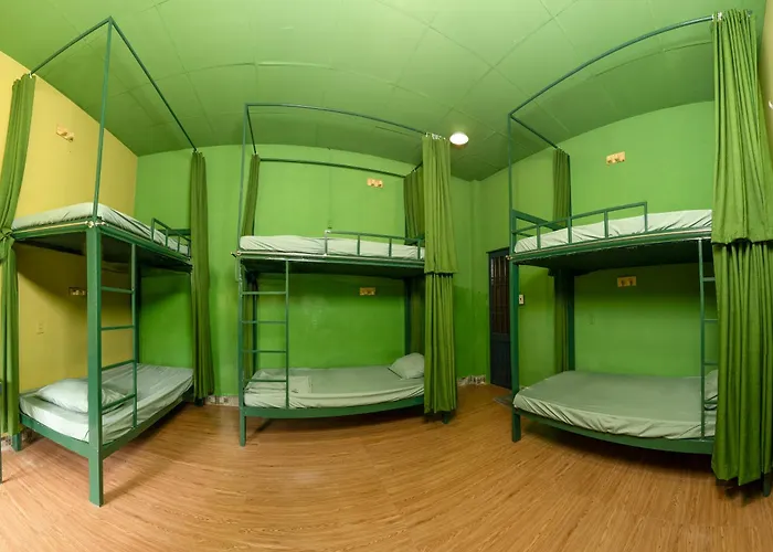 The Snail Haven Pub And Stay - Con Dao