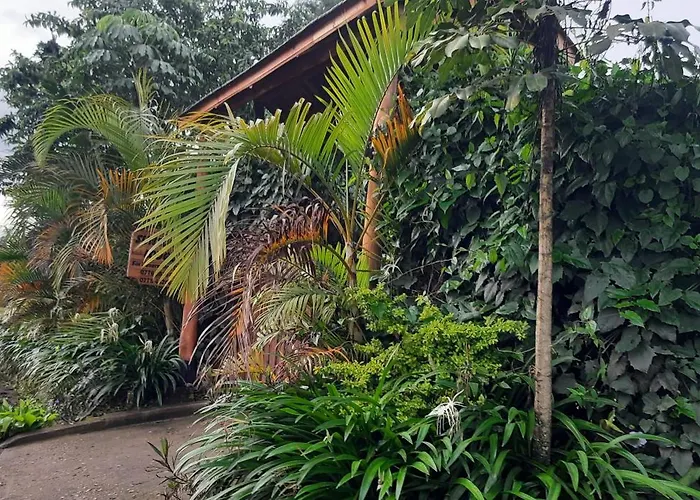 Sunscape Lodge
