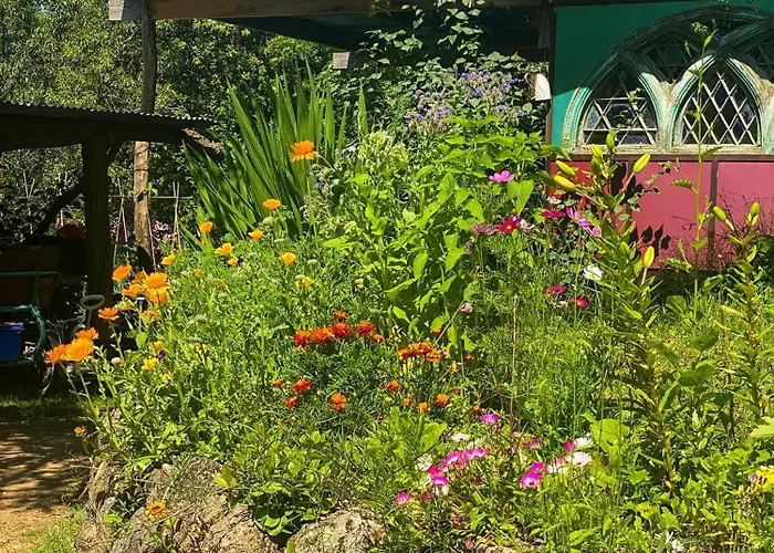 Dortoir Dans La Nature