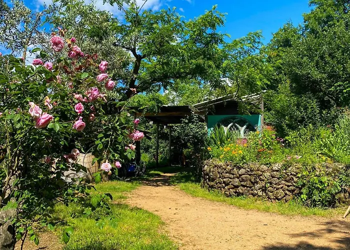 Dortoir Dans La Nature