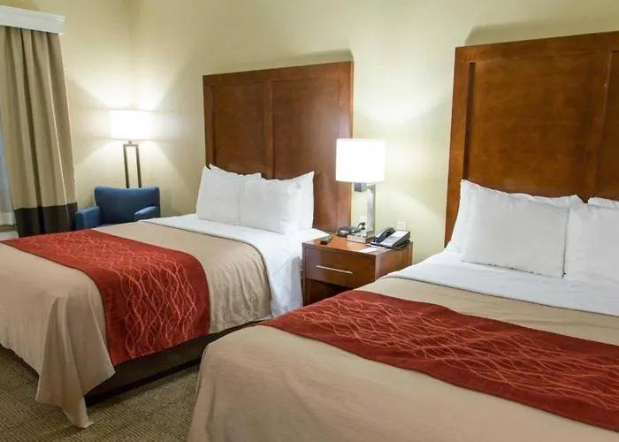 Comfort Inn DFW Airport North