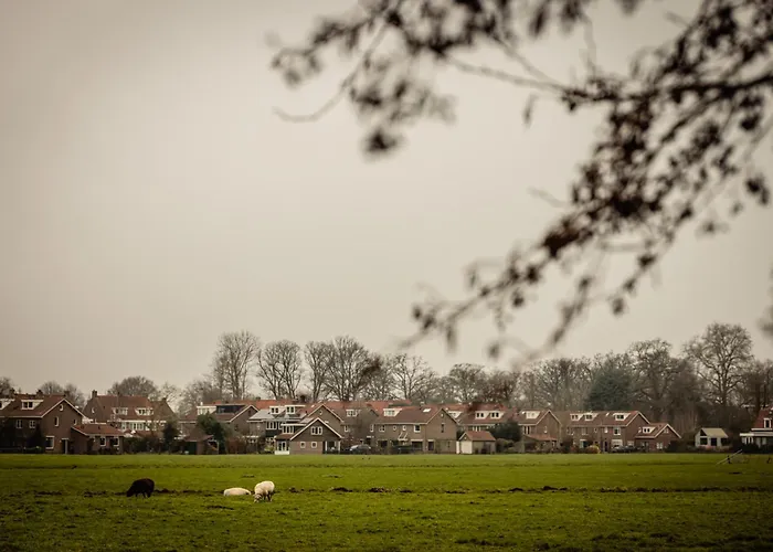 Boutique Hotel De Witte Dame