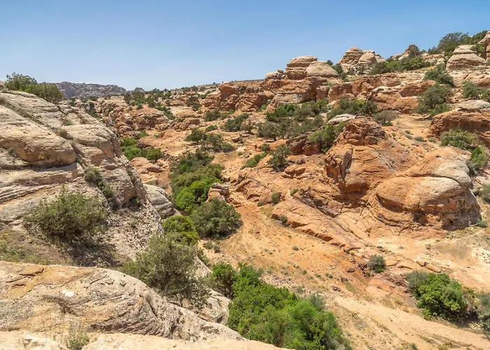 Dana Bedouin Sky