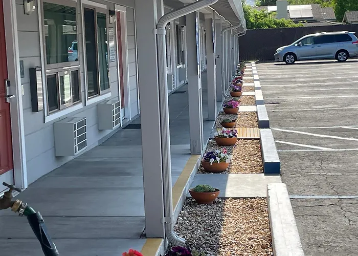 Lark Motel Willits