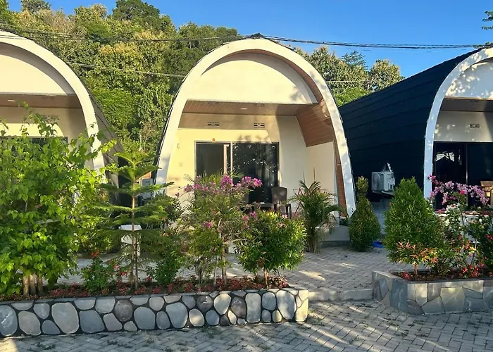 Hotel Villa Beach Transit 2 & Whaleshark Tour