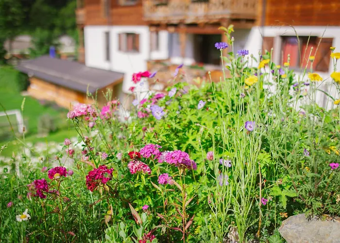 Appartements Liebe Heimat