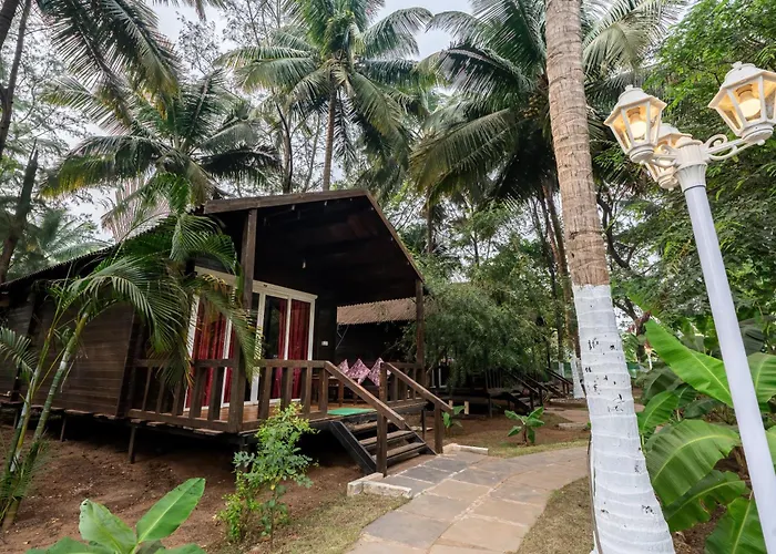 The Exotica Agonda