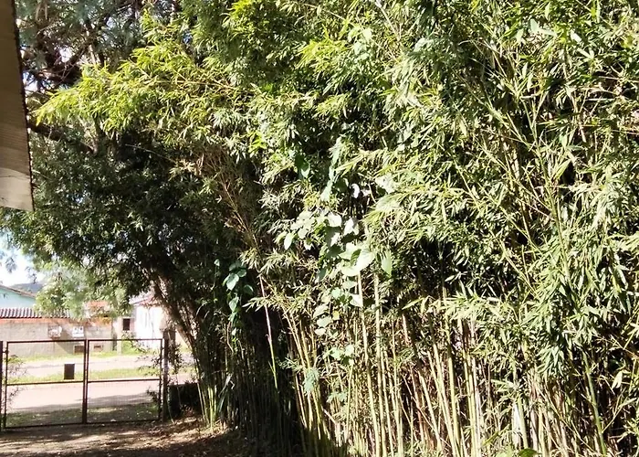 Estúdio Bambuzal no Centro
