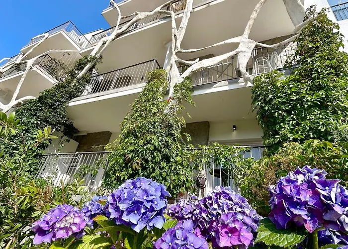 Most Oliva Resort Budva