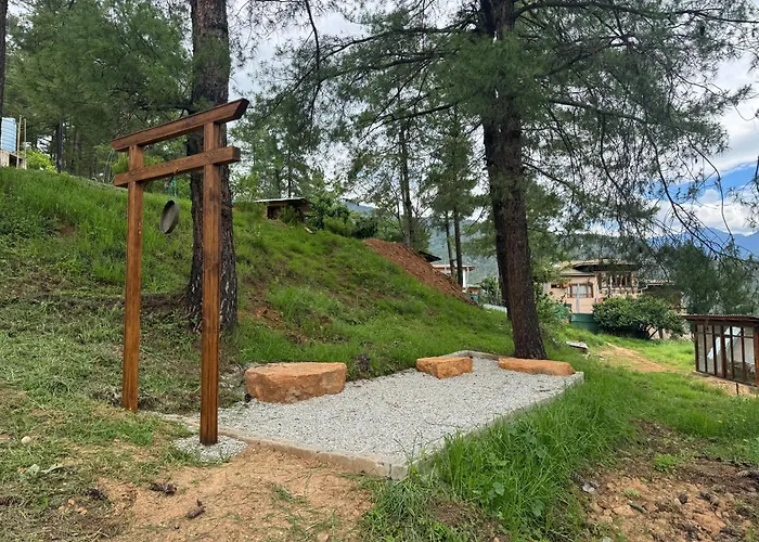 Dzi Pema