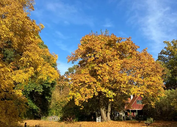 Landhaus Hohe Buchen