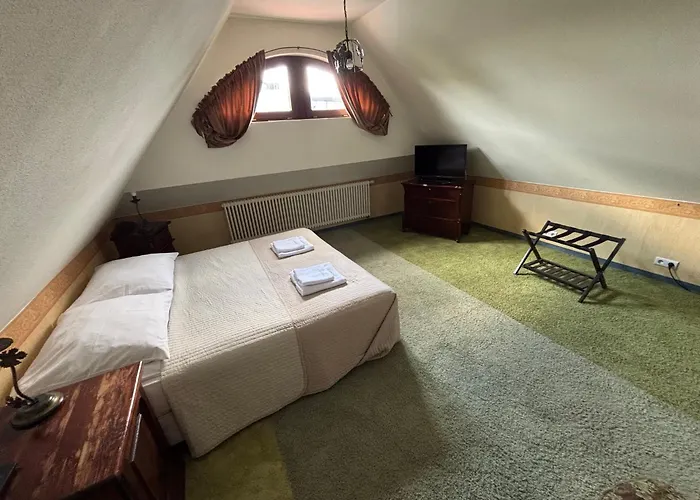 Hotel Palacyk Konin