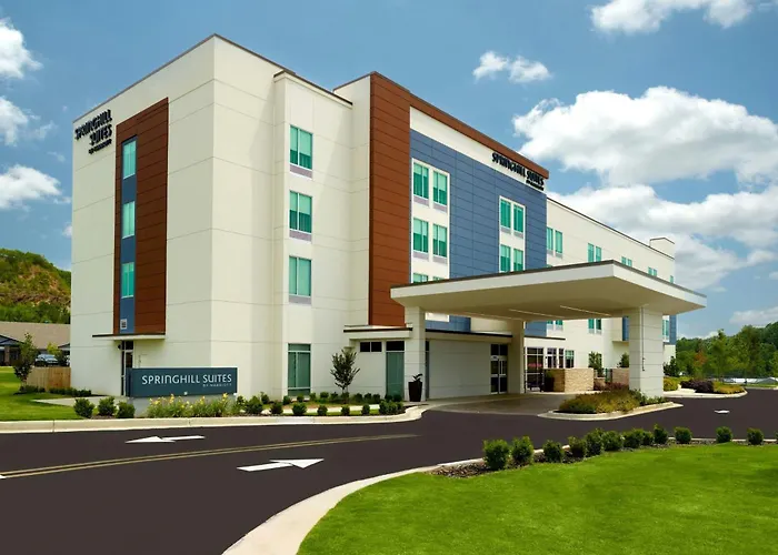 Springhill Suites By Marriott Ellijay