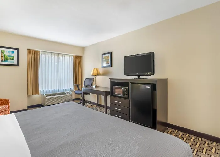 Canton Hotels