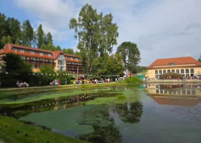 Parkhotel Bad Brambach