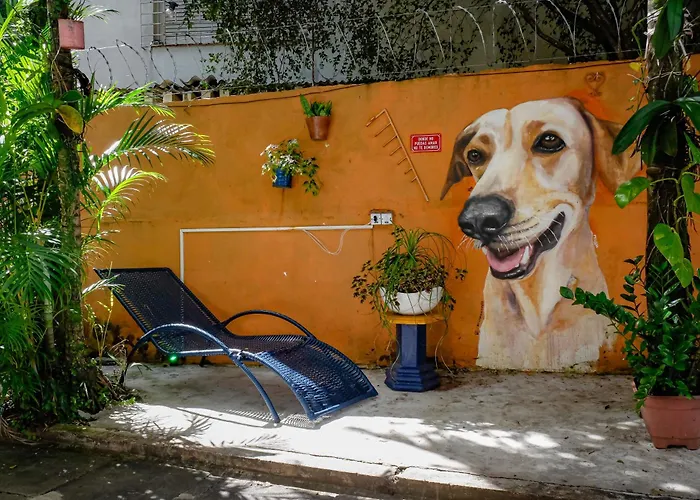 Nomads Hostel Multicultural & Coworking