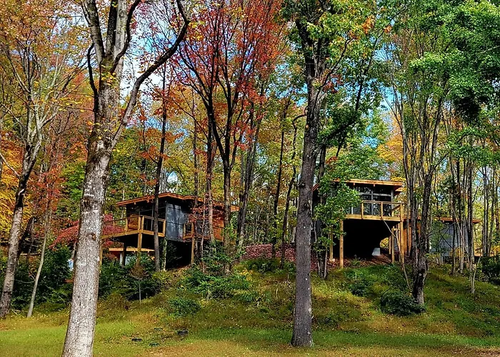 Piedmont Grove