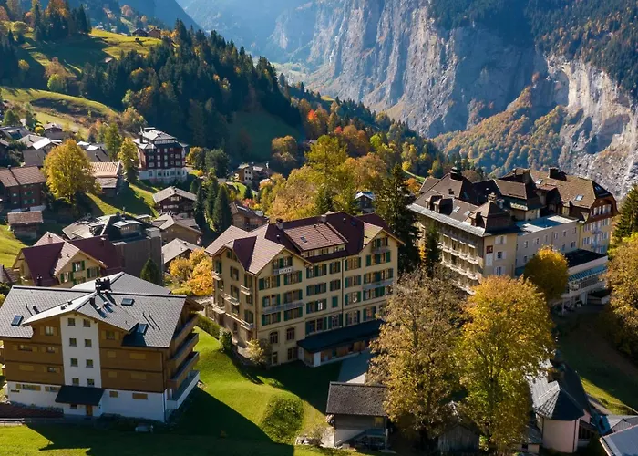 Historic Hotel Falken