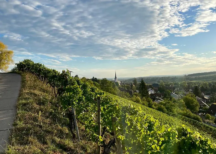Vinotel Augustin
