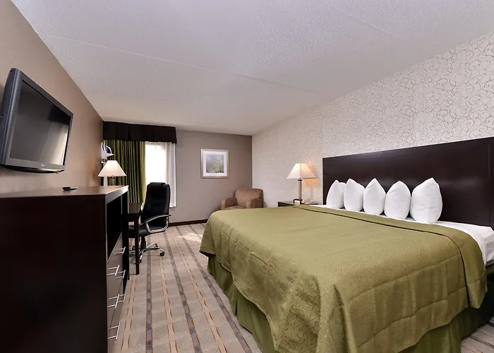 Quality Inn & Suites Matteson Near I-57