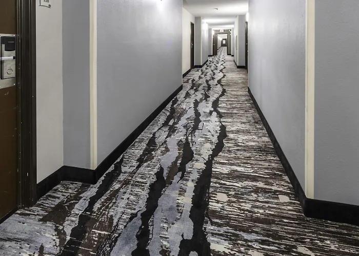 Quality Inn & Suites Danville East