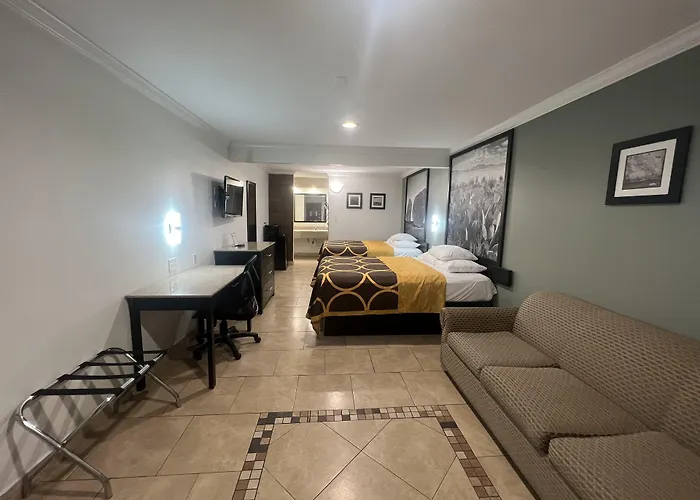 Super 8 By Wyndham Mcallen-La Plaza Mall-Downtown