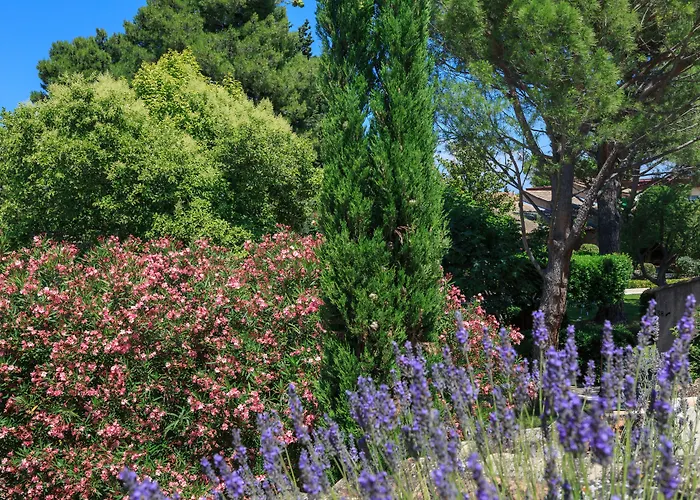 Auberge De Cassagne & Spa