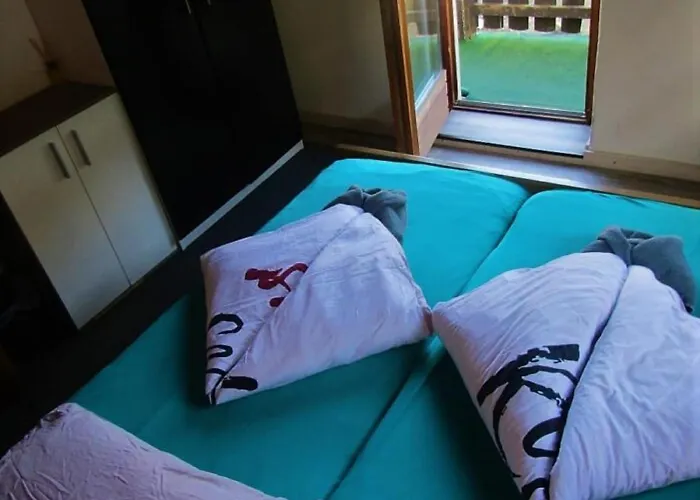 SnowBunnys BackPackers Hostel