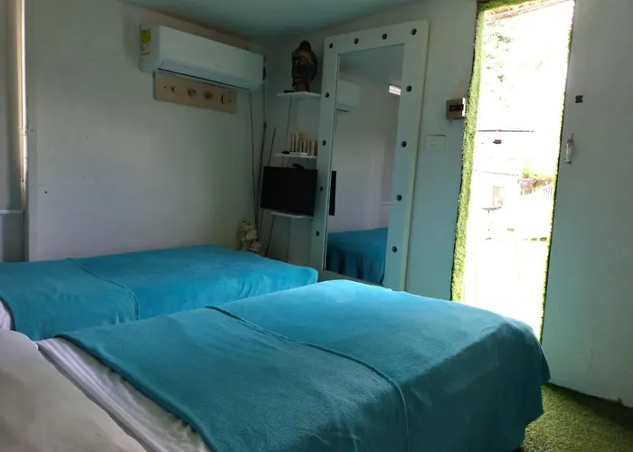 Hostel La Antigua Capsula