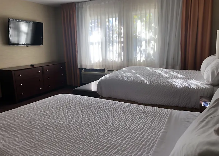 Ivy Court Inn And Suites