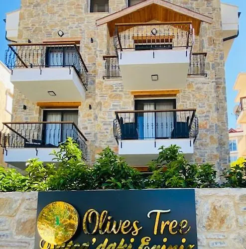 Olives Tree
