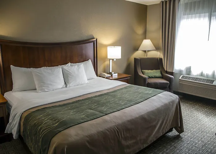 Quality Inn & Suites Bradford