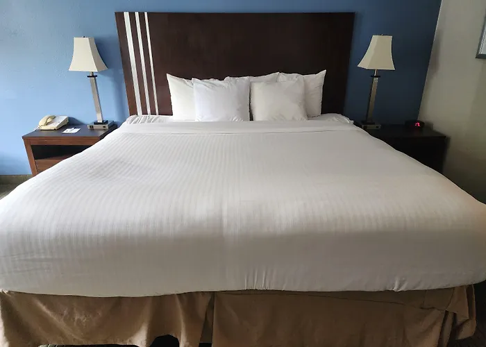 City Express By Marriott Freeport