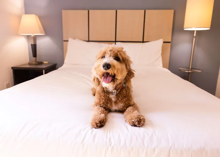 Sonesta Simply Suites Orange County Airport