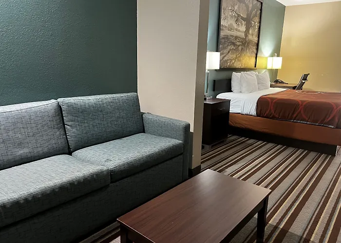 Super 8 By Wyndham Port Arthur/Nederland Area