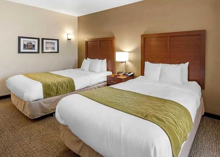 The Atrium Hotel Sfo Airport - Free Shuttle & Breakfast