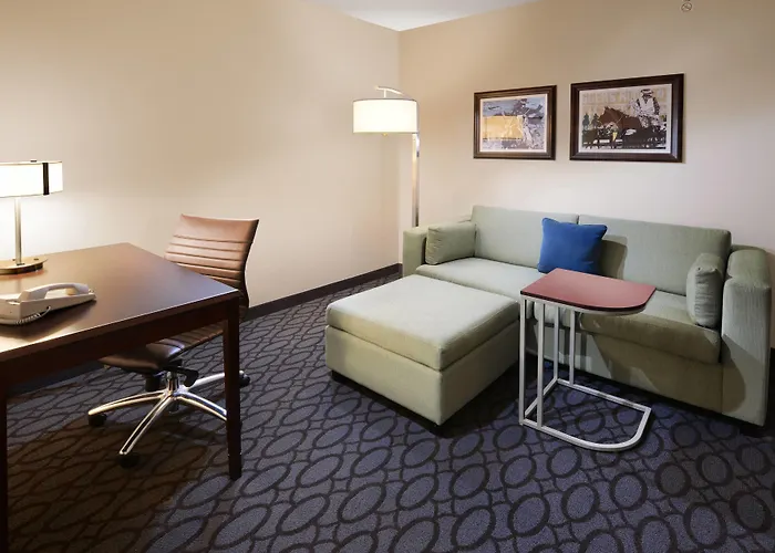Springhill Suites Fort Worth University