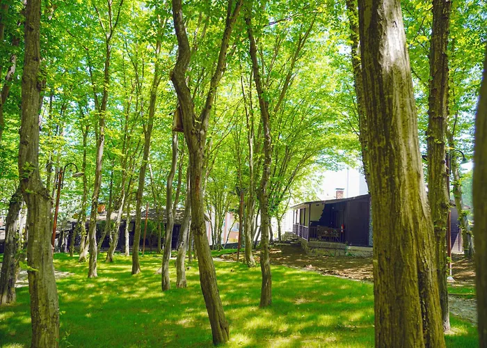 Fatsa Belediyesi Cerkezler Tepesi Bungalov Otel